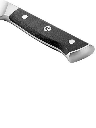 ZWILLING | Fleischmesser 20cm SPECTRUM Micarta | 